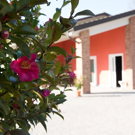 Tenuta La Vigna * Malgesso